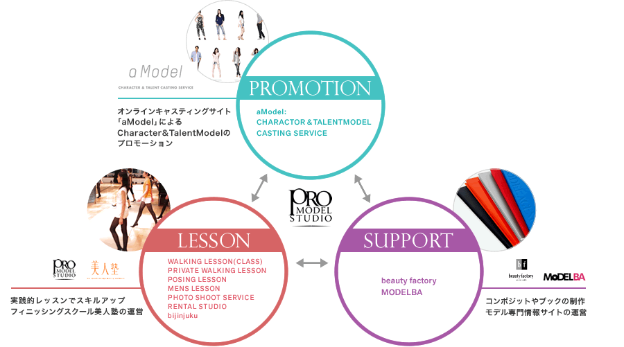 Promotion Lesson Support